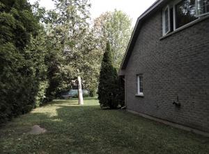 #60